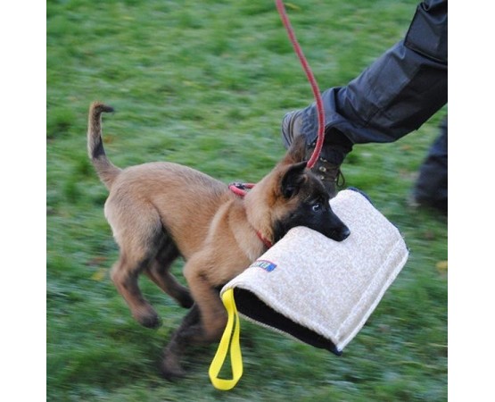 Manson protectie dresaj iuta Euro Joe nr.1