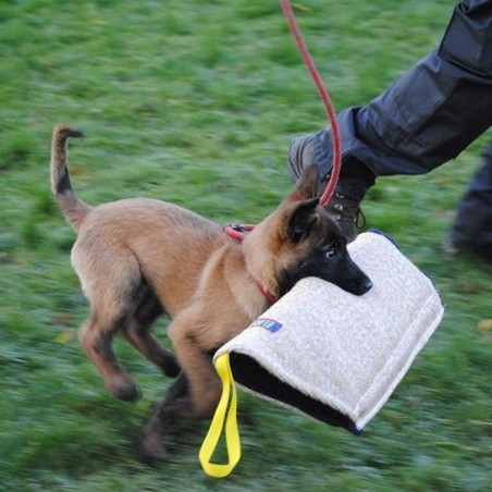 Manson protectie dresaj iuta Euro Joe nr.1