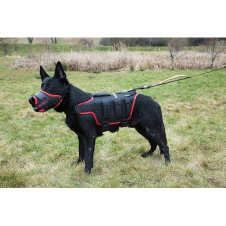 Ham special profesional anti tero