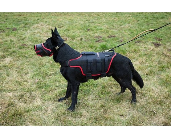 Ham special profesional anti tero