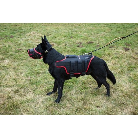 Ham special profesional anti tero