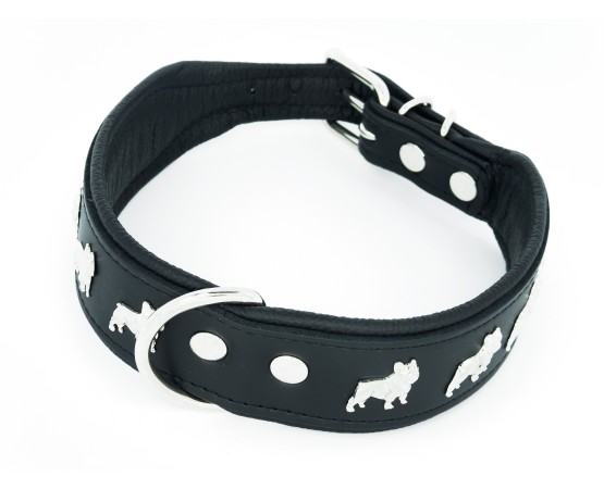 Zgarda Luxury French Bulldog