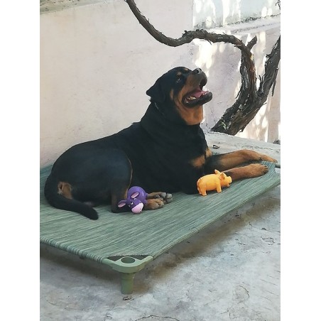 Pat profesional pentru caini DogZone Max 68 kg