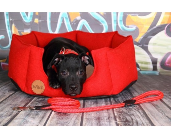 Zgarda piele caini tip Staff  Luxury Staff