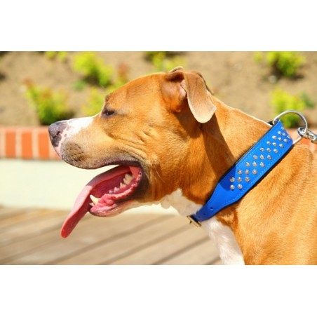 Zgarda piele caini tip Staff  Luxury Staff