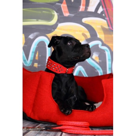 Zgarda piele caini tip Staff  Luxury Staff