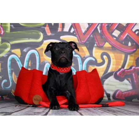 Zgarda lux caini Luxury Staff