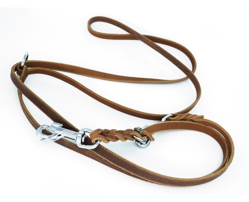 Lesa reglabila de lux pentru caini