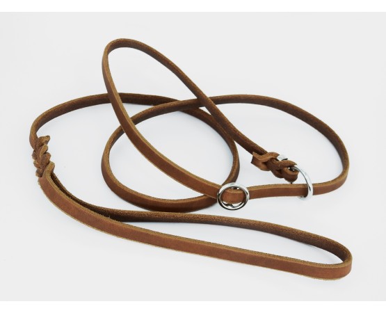 Lesa strangulanta de lux din piele pentru prezentare show caini