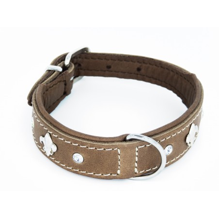 Zgarda de lux pentru caini Florenz Taupe