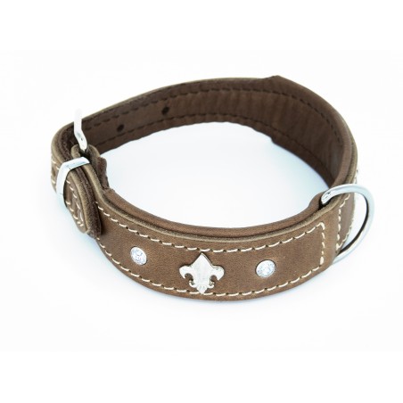 Zgarda de lux pentru caini Florenz Taupe