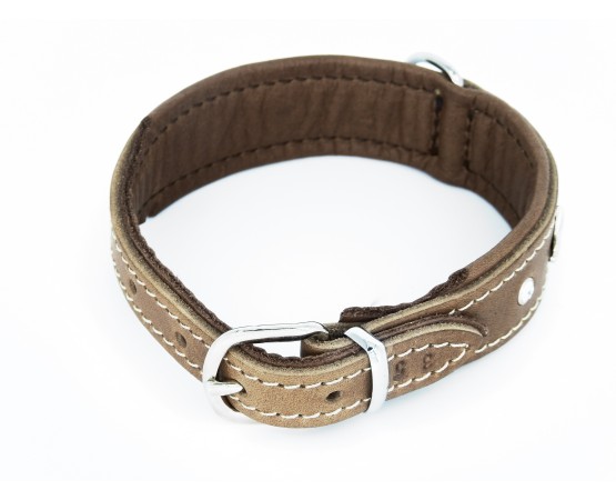 Zgarda de lux pentru caini Florenz Taupe