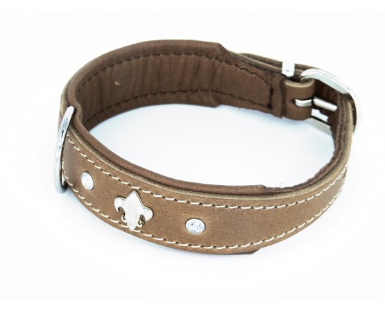 Zgarda de lux pentru caini Florenz Taupe