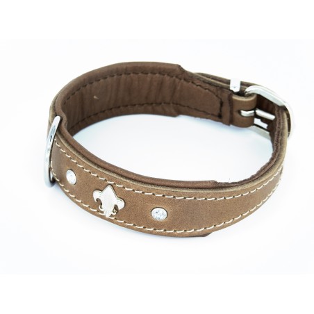 Zgarda de lux pentru caini Florenz Taupe