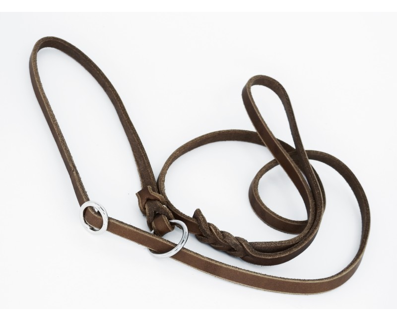 Lesa lux prezentare show caini taupe