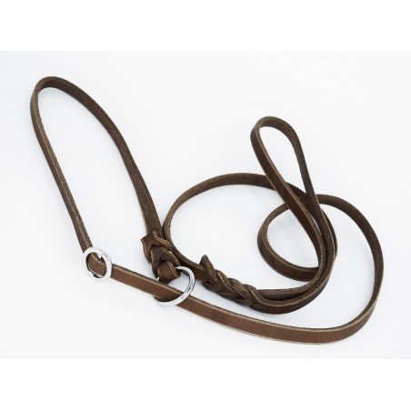 Lesa lux prezentare show caini taupe