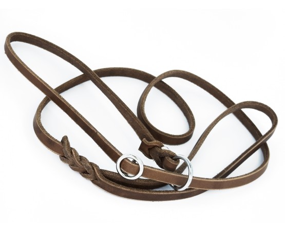 Lesa lux prezentare show caini taupe