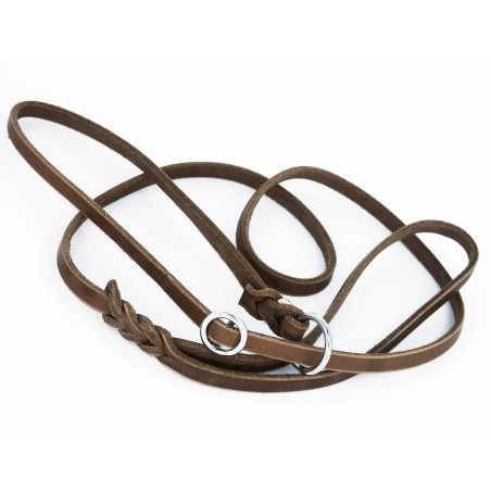 Lesa lux prezentare show caini taupe