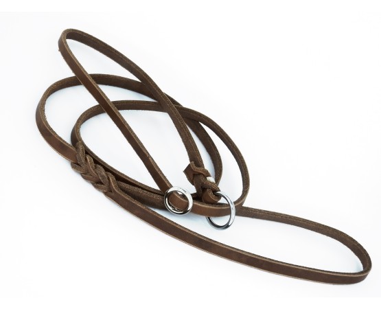 Lesa lux prezentare show caini taupe