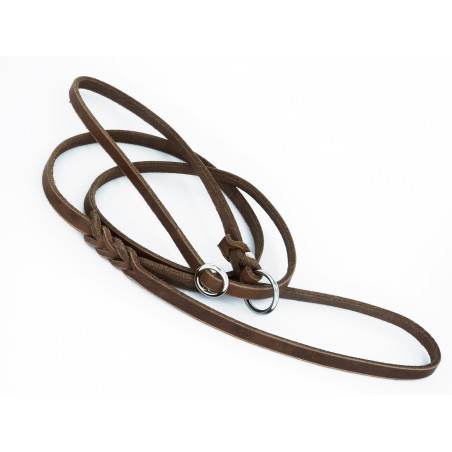 Lesa lux prezentare show caini taupe