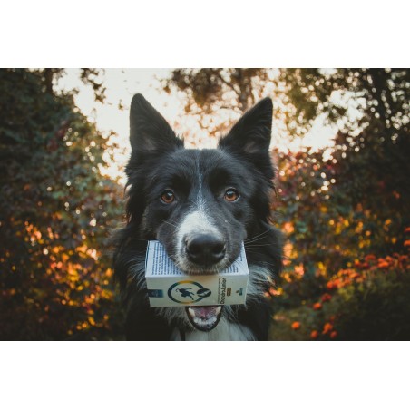 Supliment articulatii caini Junior