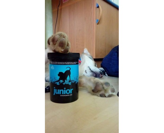 Supliment profesional articulatii caini Junior