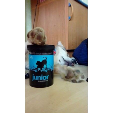 Supliment profesional articulatii caini Junior