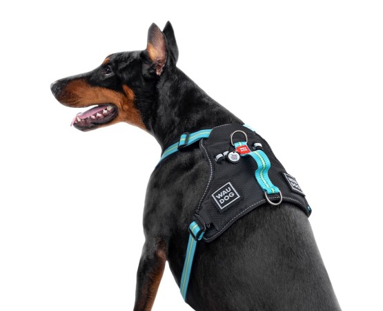 Ham Waw Dog pentru caini