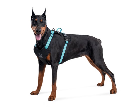 Ham Waw Dog pentru caini