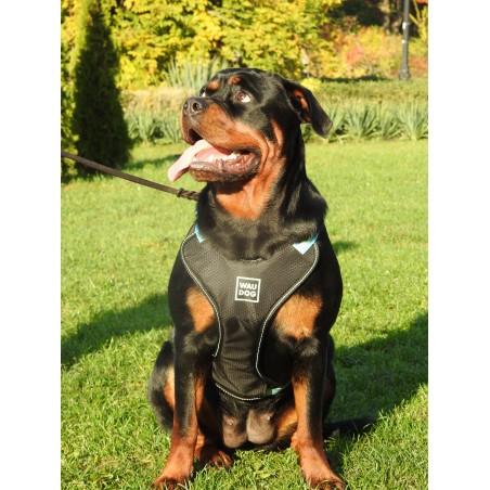 Ham Waw Dog pentru caini