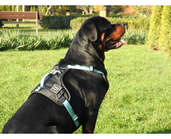 Ham Waw Dog pentru caini