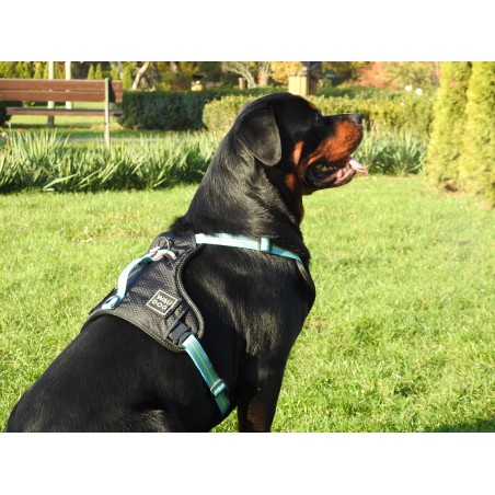 Ham Waw Dog pentru caini