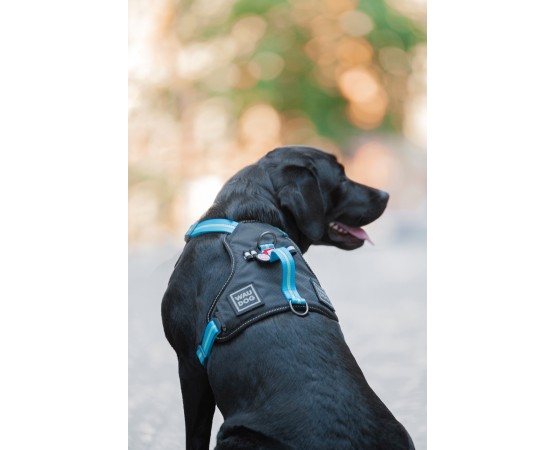 Ham Waw Dog pentru caini