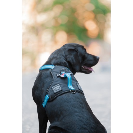 Ham Waw Dog pentru caini