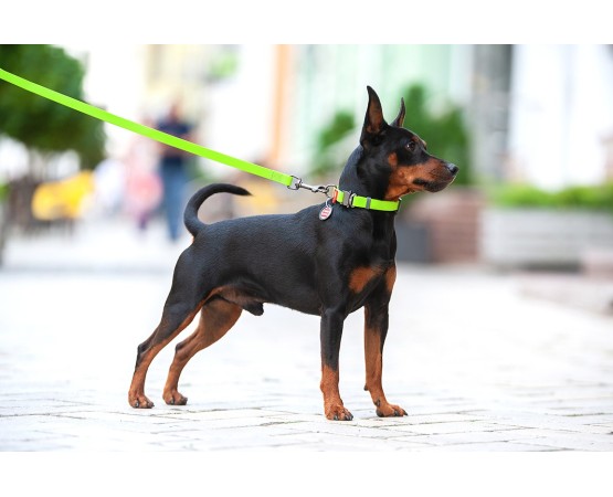 Zgarda WAW Dog Waterproof reglabila