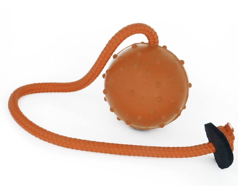 Minge pentru dresaj canin Viper Dog Training Gear