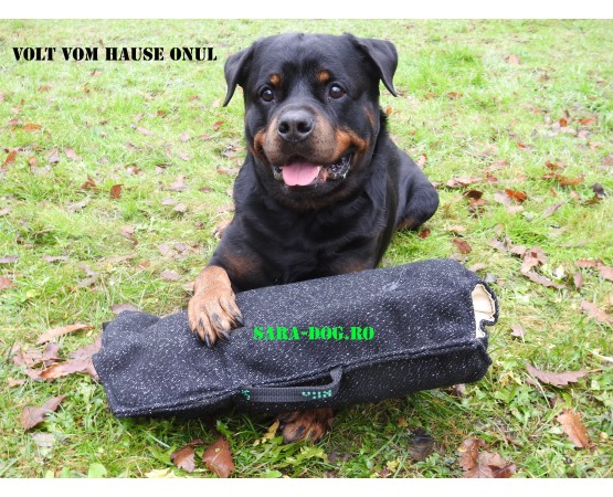 Maneca dresaj caini junior , confectionata din material francez