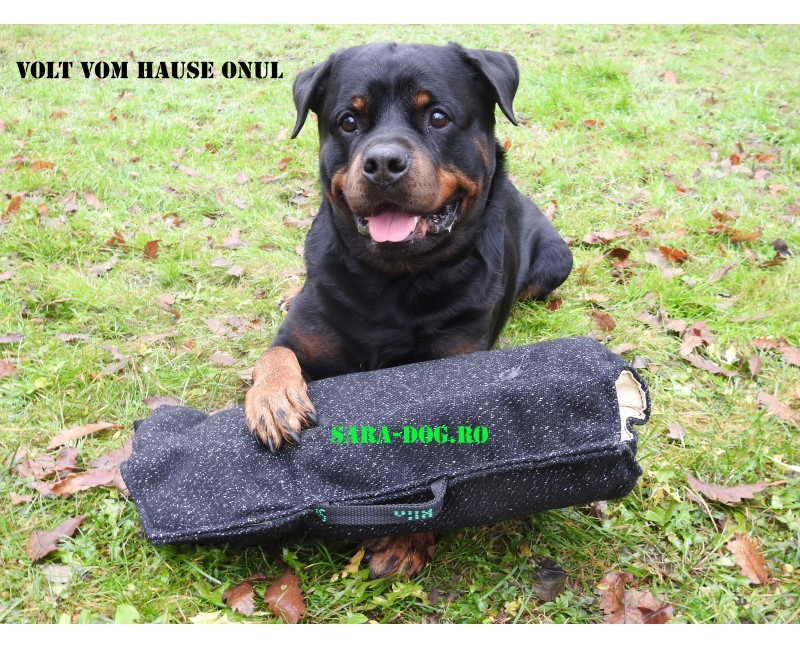 Maneca dresaj caini junior , confectionata din material francez