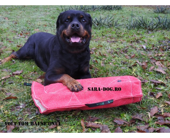 Maneca dresaj caini junior , confectionata din material francez