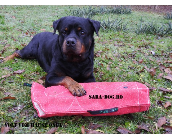 Maneca dresaj caini junior , confectionata din material francez