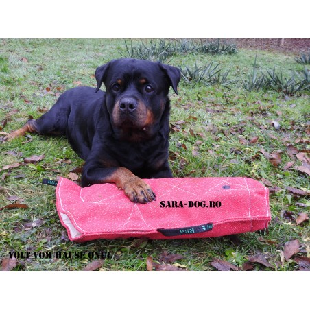 Maneca dresaj caini junior , confectionata din material francez