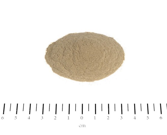 Stomach Balance Canina