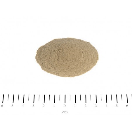 Stomach Balance Canina