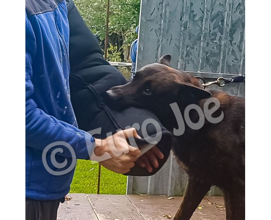 Maneca Euro Joe nr 6 pentru caini cu muscatura extrem de puternica