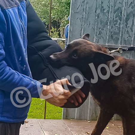 Maneca Euro Joe nr 6 pentru caini cu muscatura extrem de puternica