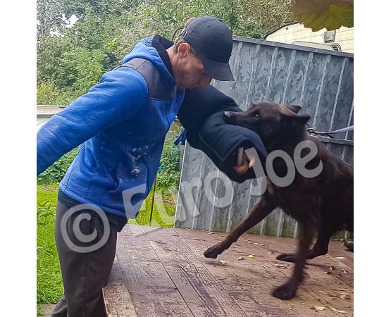 Maneca Euro Joe nr 6 pentru caini cu muscatura extrem de puternica