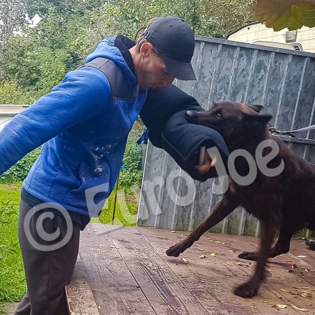 Maneca Euro Joe nr 6 pentru caini cu muscatura extrem de puternica