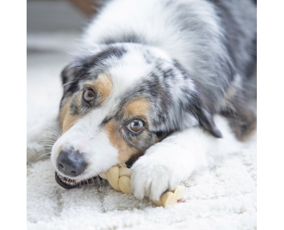 Recompense pentru caini Wonder Snaxx Twists alune si banane