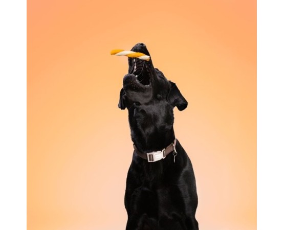 Recompense pentru caini Wonder Snaxx Twists alune si banane