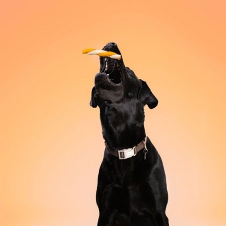 Recompense pentru caini Wonder Snaxx Twists alune si banane